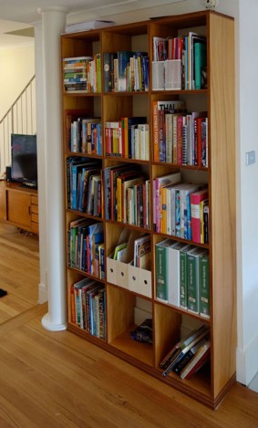 Jeff's shelves kauri pine plywood shelves