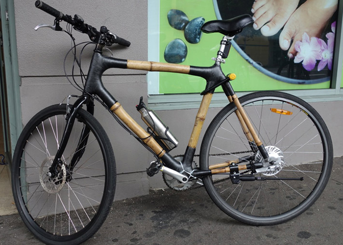 Custom Bamboo bike